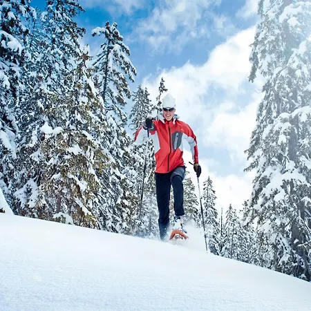 Mansion In Near Lift 別荘 ゴールデック